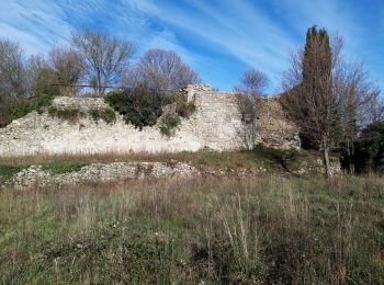 Tocht Stappen Mazaugues - Le Mourre d Agnis - Photo