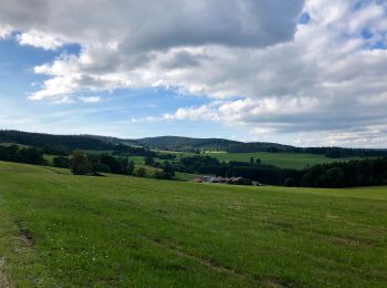 Tocht Te voet Grafenhausen - Rappenfelsensteig - Photo