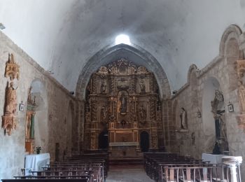 Tour Wandern Montferrer - montferrer . El castel . Puiq de volafort .. retour par la piste  - Photo