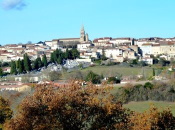 Randonnée Marche Puylaurens - Puylaurens - Montaut - Photo