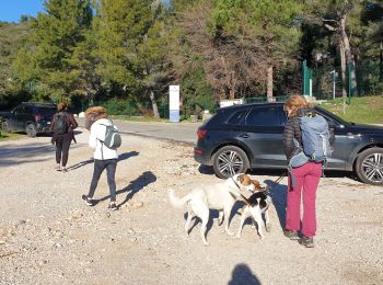 Tocht Stappen Ollioules - Le Gros Cerveau filles - Photo