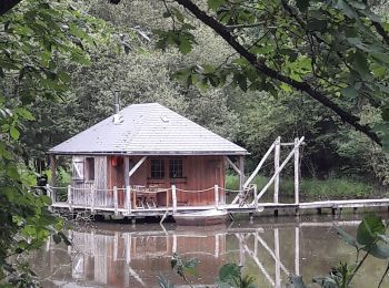 Trail Walking Forcé - tour forcé - Photo