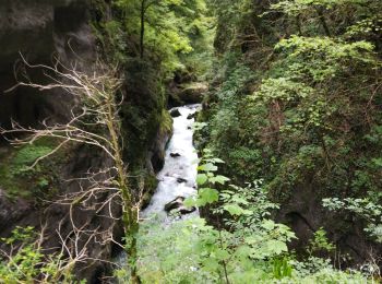 Randonnée Marche Saint-Christophe - Grottes des Echelles - Photo