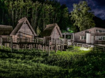 Tour Zu Fuß Ledro - Sentér de Giumela - Photo