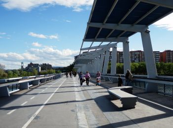 Trail On foot Zaragoza - La margen izquierda, entre puentes - Photo