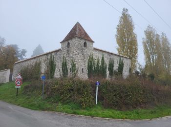 Trail Walking Gouaix - Gouaix  - Photo