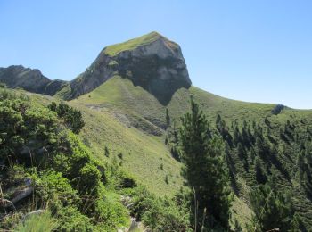 Tour Wandern Ancelle - Arche - Photo