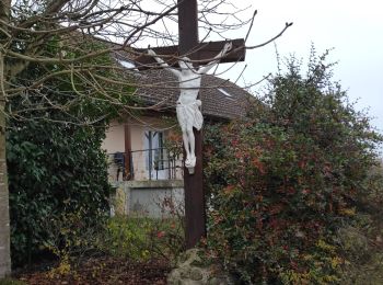 Trail Walking Dommartin-sous-Amance - Audax Dommartin  - Photo