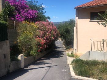 Excursión Senderismo Montner - Montner Força Réal et château de Caladroy - Photo