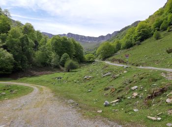 Tour Wandern Castet - Le Port de Castet en étoile - G4 - Photo