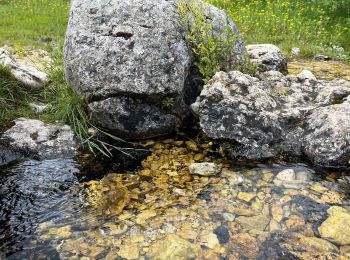 Trail Walking Opi - Anello val fondillo monte nicola valle fredda - Photo