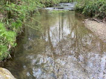 Trail Walking Saint-Pée-sur-Nivelle - Cherchebruit pinodieta ainhoa  - Photo