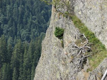 Randonnée A pied Inconnu - Transfăgărășan - Șaua Netedu - L. Bâlea - Photo