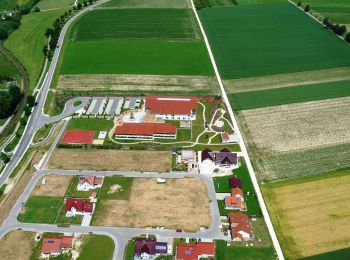 Tour Zu Fuß Neuburg an der Kammel - Tour 11 (orange 11) - Photo