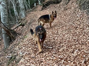 Tour Wandern La Motte-Saint-Martin - Serre de la roche - Photo