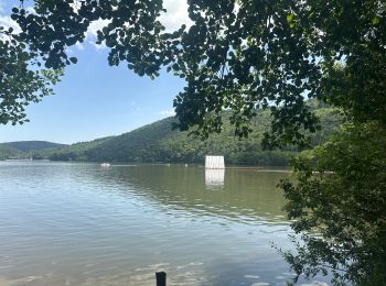 Excursión sport Murol - Lac de Chambon - Photo