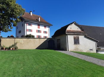Trail On foot Grosswangen - Buttisholz - Grosswangen - Photo