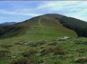 Trail Walking Montagagne - Cap de Carmil - Photo