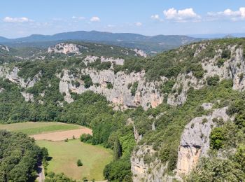 Excursión Senderismo Vallon-Pont-d'Arc - Rando Châmes Ardèche - Photo