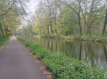 Randonnée Vélo électrique Capavenir-Vosges - Thaon-Damelevieres (100 kms) - Photo