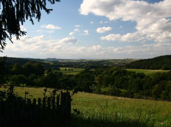 Excursión A pie Brensbach - Rundwanderweg Brensbach B1: Rundweg nach Wallbach - Photo