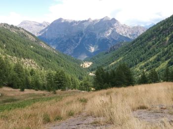 Tocht Stappen Puy-Saint-Vincent - Narreyrou - Photo