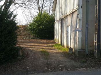 Percorso Trekking con gli asini Vouvray - ballade dans les vignes - Photo