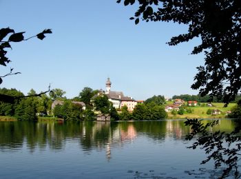 Trail On foot Teisendorf - Höglwörther Weg Nr. 5 - Photo