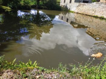 Excursión Senderismo Chenereilles - Vérines alezieux le Perrier le lac - Photo