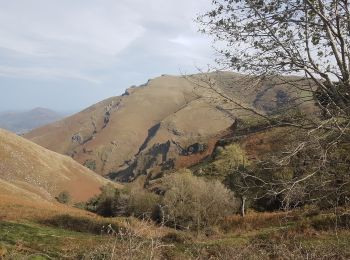 Excursión Senderismo San Juan Pie de Puerto - GR 10 - Photo