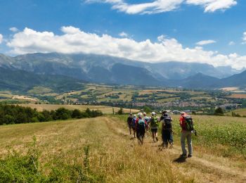 Trail Walking Mens - Esclops Trièves Tour de Mens - Photo