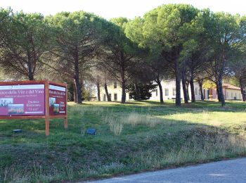 Tocht Te voet Montespertoli - Dolce campagna, antiche mura 1 - Photo