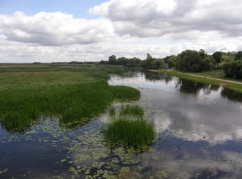 Tour Zu Fuß Sojczyn Grądowy - Szlak czerwony Goniądz-Ruda - Photo