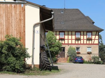 Excursión A pie Itzgrund - Rundwanderweg Storch Kaltenbrunn - Photo