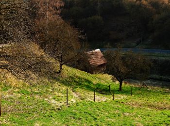 Excursión A pie Forbach - Heimatweg - Photo