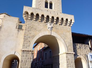 Tocht Hybride fiets Le Thor - Autour de la Sorgues - Photo