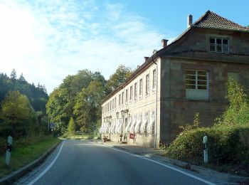 Randonnée A pied Trippstadt - Wanderweg Trippstadt 2 - Photo