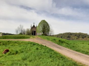 Tocht Noords wandelen Amage - amage-mille etang20230430 - Photo