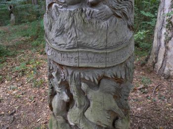 Tocht Te voet Gemeinde Hinterbrühl - Höldrichsmühlen Runde (Mödling) - Photo