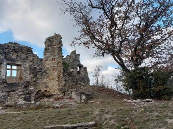 Randonnée Marche Rochefort-en-Valdaine - Le Colombier Château Rochefort en Valdaine 6km - Photo