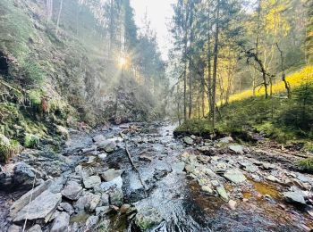 Randonnée Marche Malmedy - Le canyon des Trôs-Marèts à Malmedy - Photo