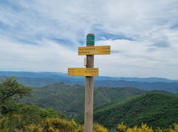 Trail Walking Val-d'Aigoual - Col de l'Homme mort - Pont Moutonnier - Photo