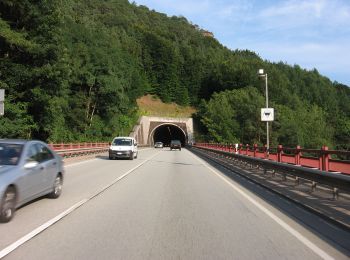 Percorso A piedi Rinnthal - Rundwanderweg Rinnthal: Römerweg - Photo