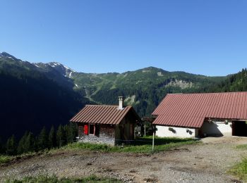 Percorso Marcia Châtel - covagnes - Photo