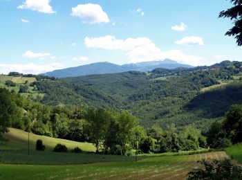 Tour Zu Fuß Canossa - Mulino di Chichino - Scalucchia - Spigone - Predella - Gazzolo - Cerreggio - Taviano - Photo