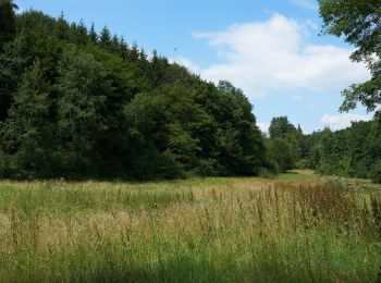 Excursión A pie Aichwald - Wanderweg Aichwald 2 - Photo