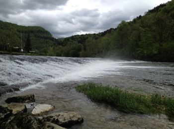 Excursión A pie Clos du Doubs - Ocourt - St. Ursanne - Photo