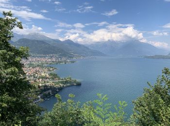 Excursión A pie Dongo - Dongo-Santa Eufemia-Sasso di Musso-San Bernardo - Photo