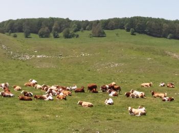 Tour Wandern Haut Valromey - RETORD: CRET DU NÛ - Photo