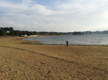 Tour Wandern Le Relecq-Kerhuon - Bois du Costour- port de plaisance  - Photo